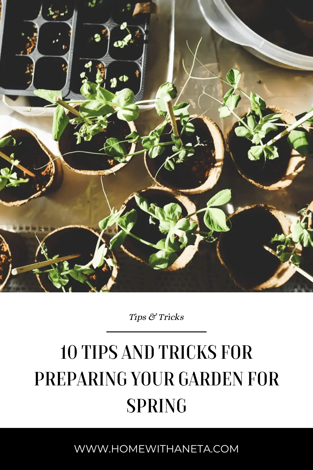 10 Tips and Tricks for Preparing Your Garden for Spring